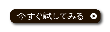 今すぐ試してみる